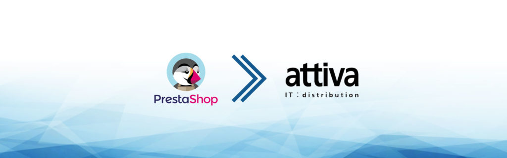 e-commerce dropshipping db-line attiva