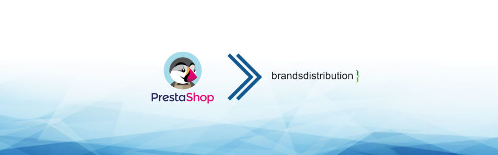 e-commerce dropshipping branddistribution