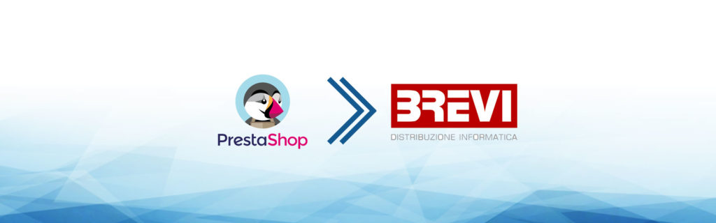 e-commerce dropshipping brevi