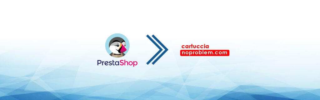 e-commerce dropshipping cartuccie-noproblem