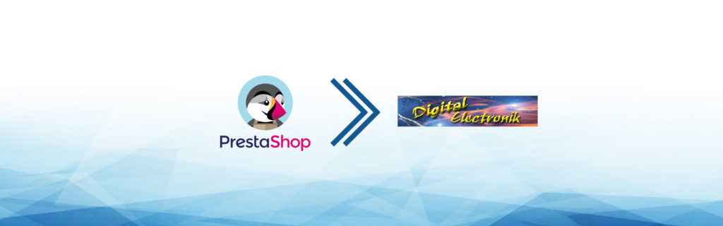 e-commerce dropshipping digital-eletronik