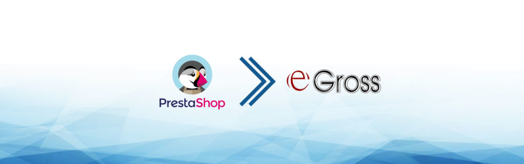 e-commerce dropshipping e-gross