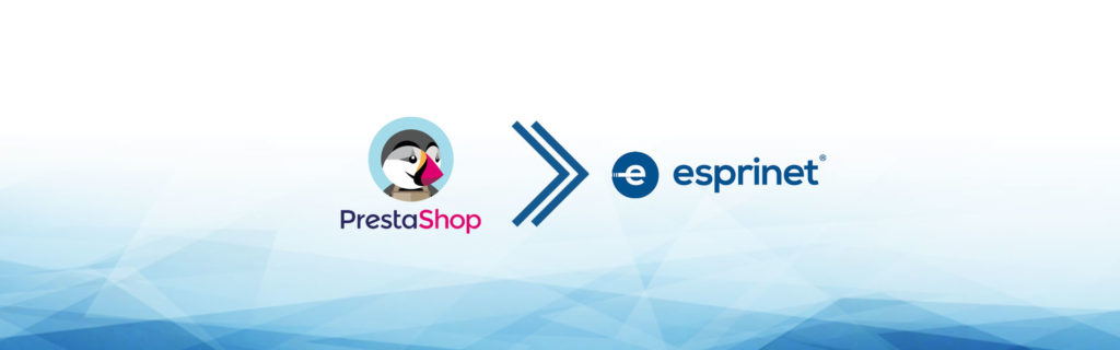 e-commerce dropshipping esprinet