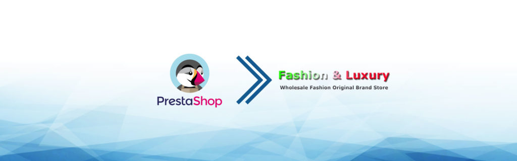 e-commerce dropshipping fashionandlux