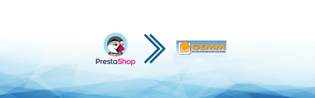e-commerce dropshipping gemm