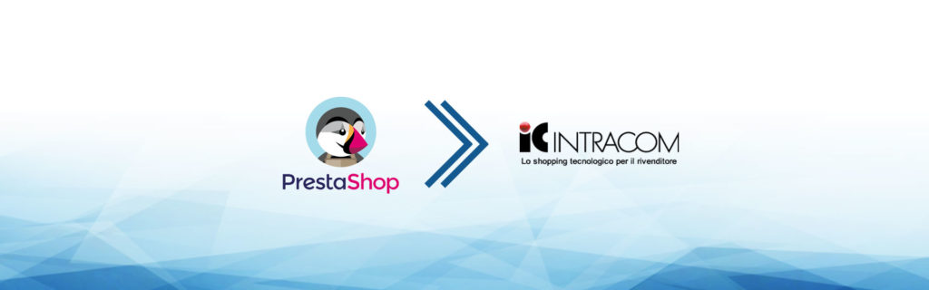 e-commerce dropshipping ic-intracom