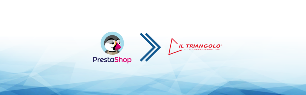 e-commerce dropshipping il triangolo.jpg