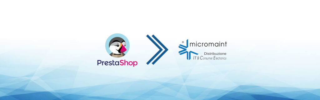 e-commerce dropshipping micromaint