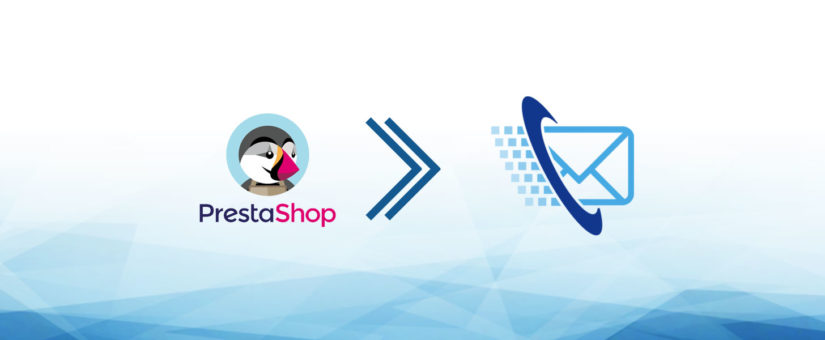 Newsletter Pro