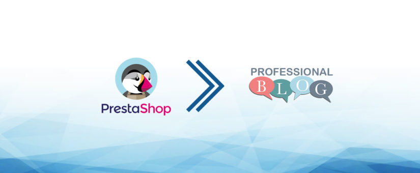 Professional blog