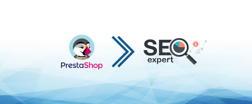 SEO EXPERT Indicizzazione