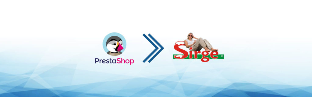 e-commerce dropshipping sirge