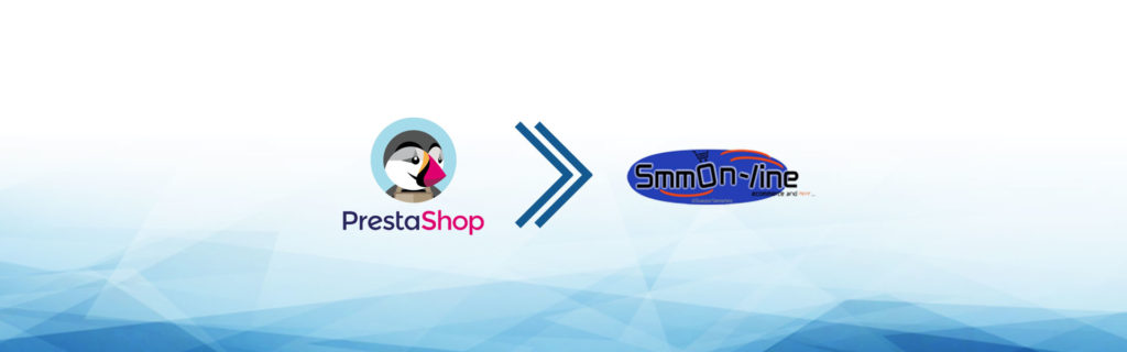 e-commerce dropshipping smmon-line
