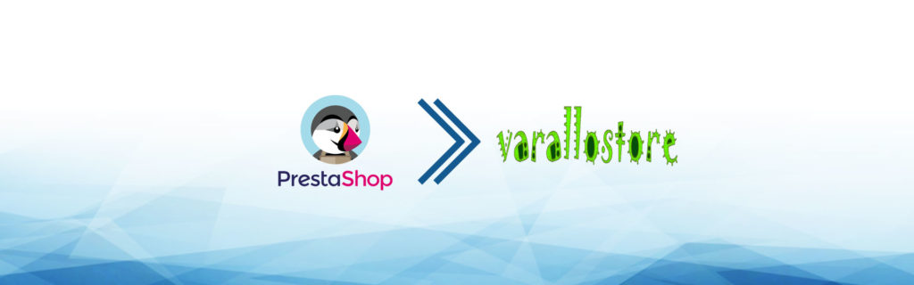 e-commerce dropshipping varallostore